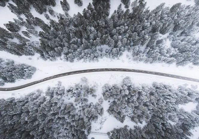 Aerial view of snowy forest and road.